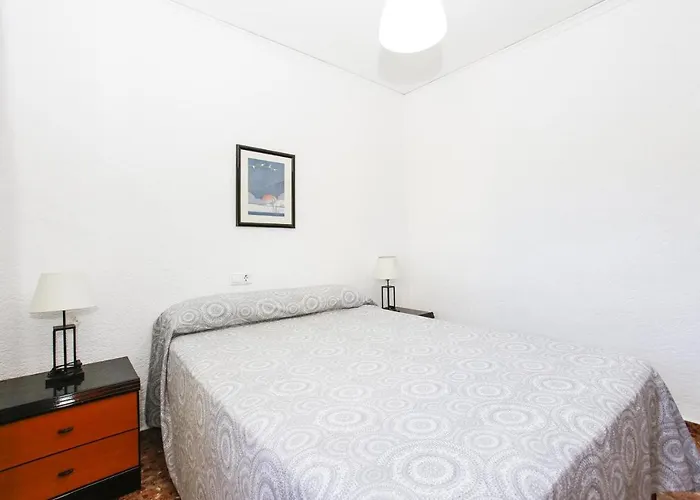 014 Colonia - Deniasol Denia